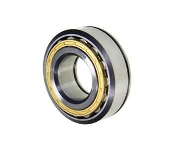 0039811701 BEARING 45X95X32 MM 0039811701